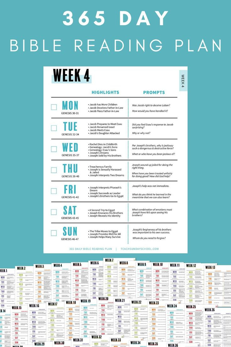 365 Day Bible Reading Plan | Printable regarding 365 Day Bible Reading Plan Printable