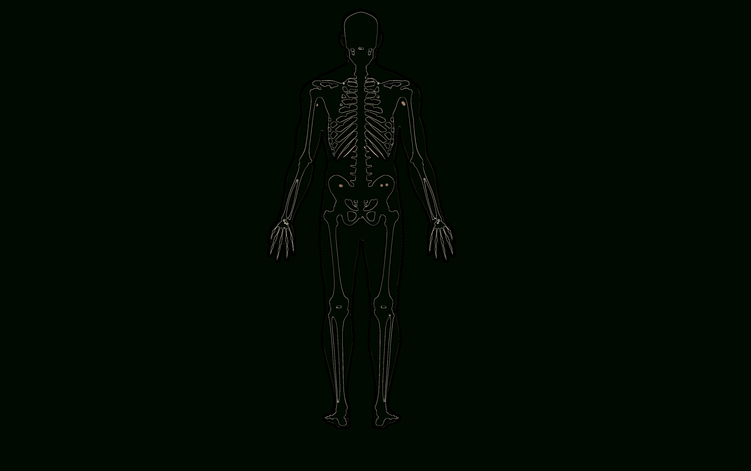 File:human Body Template - Wikimedia Commons throughout Outline Of Human Body Printable