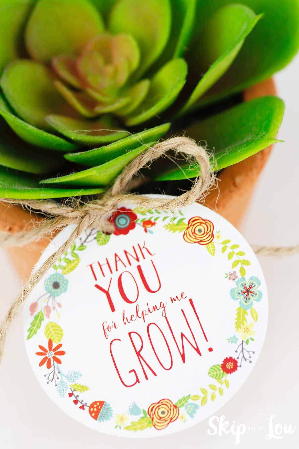 Free Printable Thank You For Helping Me Grow Gift Tags | Skip To regarding Thank You For Helping Me Grow Printable