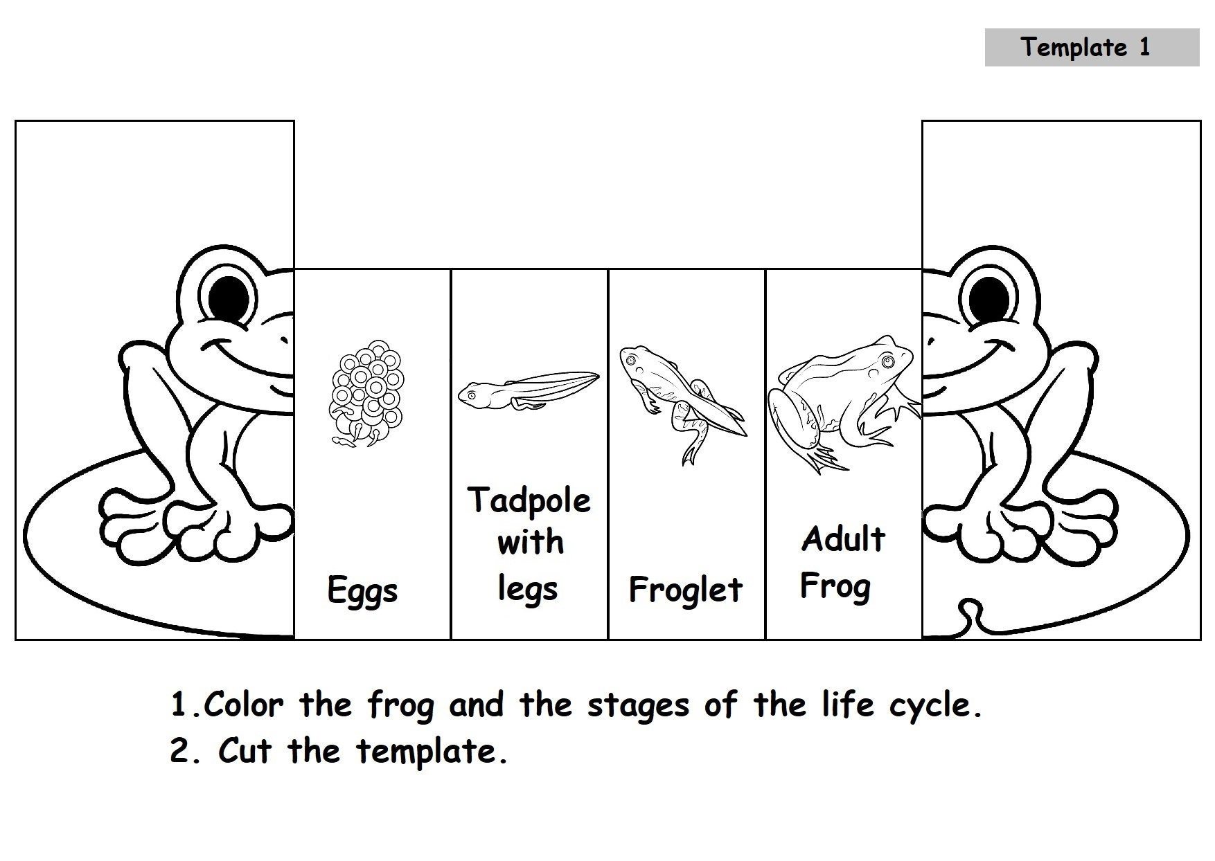 Printable Frog Cycles The Life Cycle Of A Frog Printable Mini Book throughout Life Cycle Of A Frog Printable