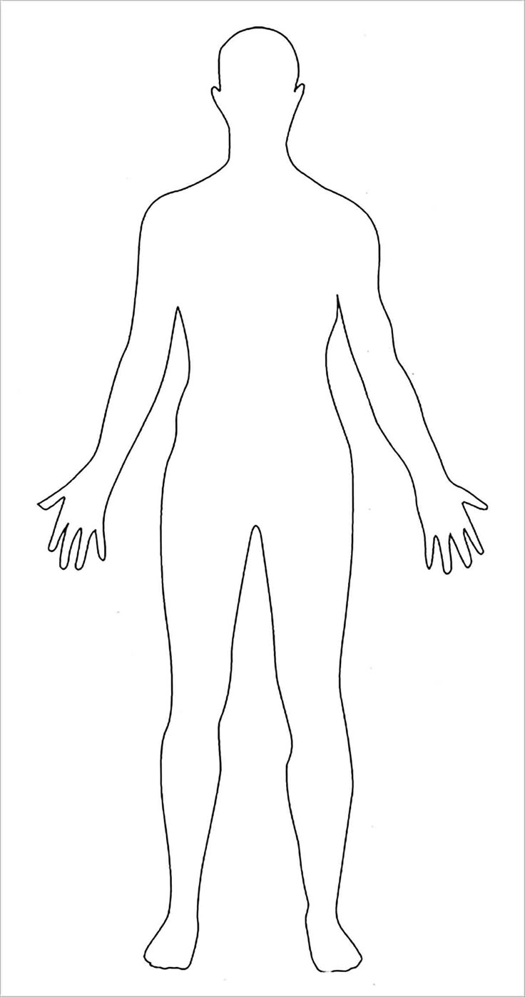 Printable Outline Of A Body : Blank Diagram Anatomy Anatomical intended for Outline of Human Body Printable