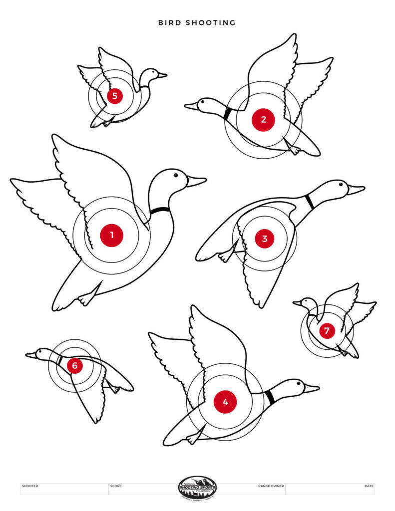 Printable Shooting Targets And Gun Targets • Nssf with regard to Free Printable Shooting Range Targets