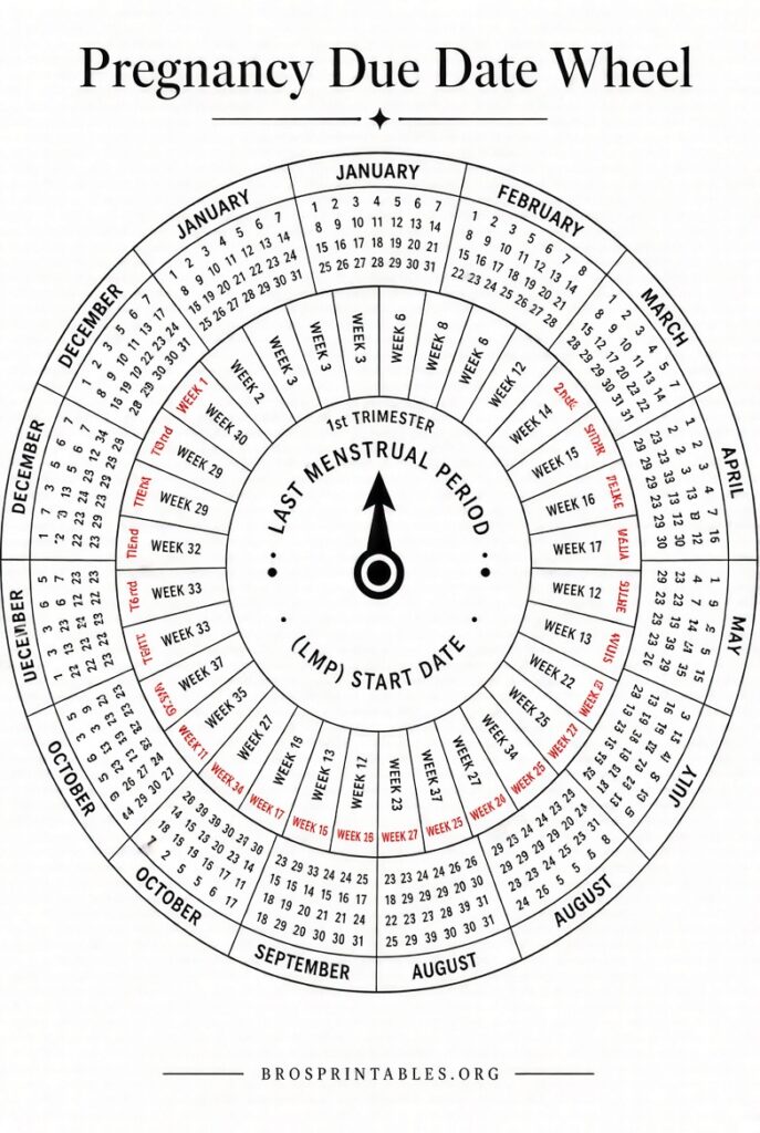 Free Printable Pregnancy Wheel (3)