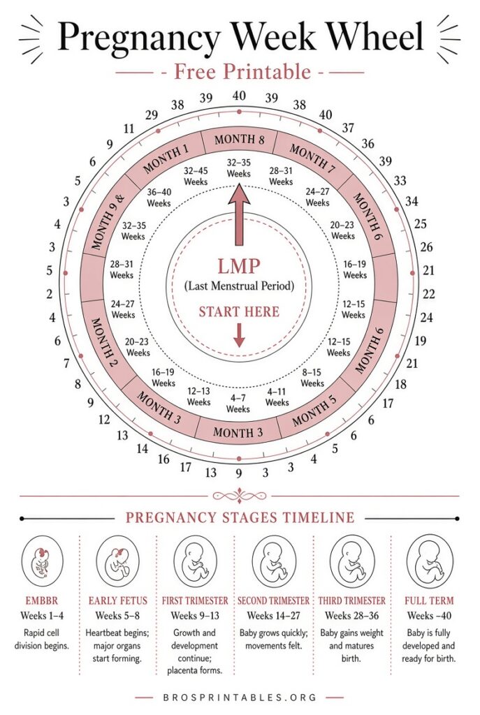 Free Printable Pregnancy Wheel (4)